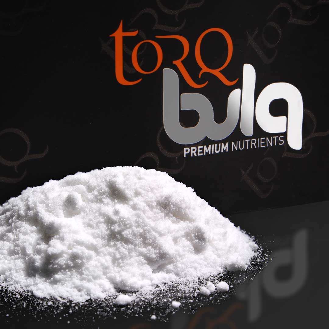 Beta Alanina - Aminoacido