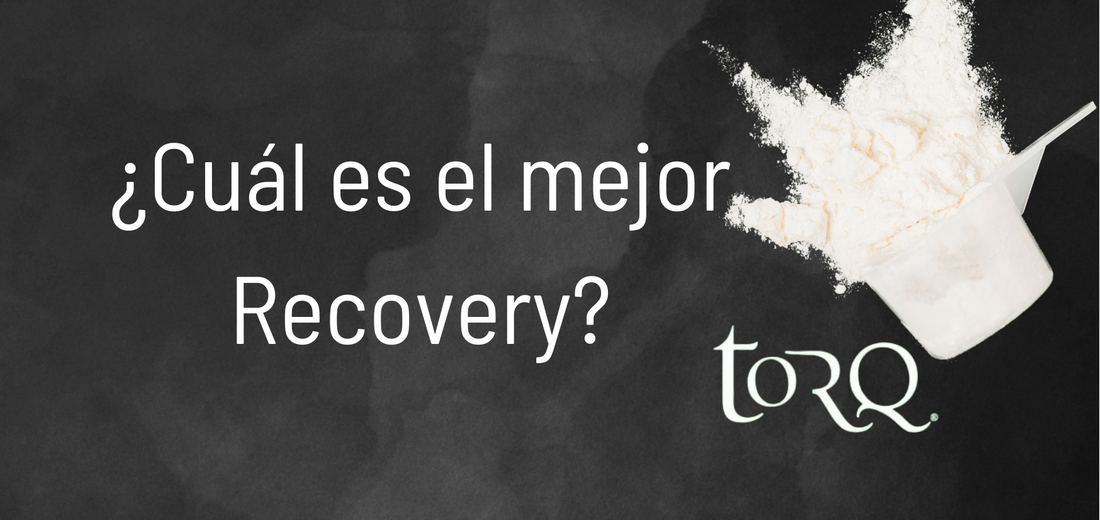 ¿Cuál es el mejor Recovery?